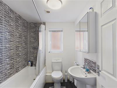 Picture 19